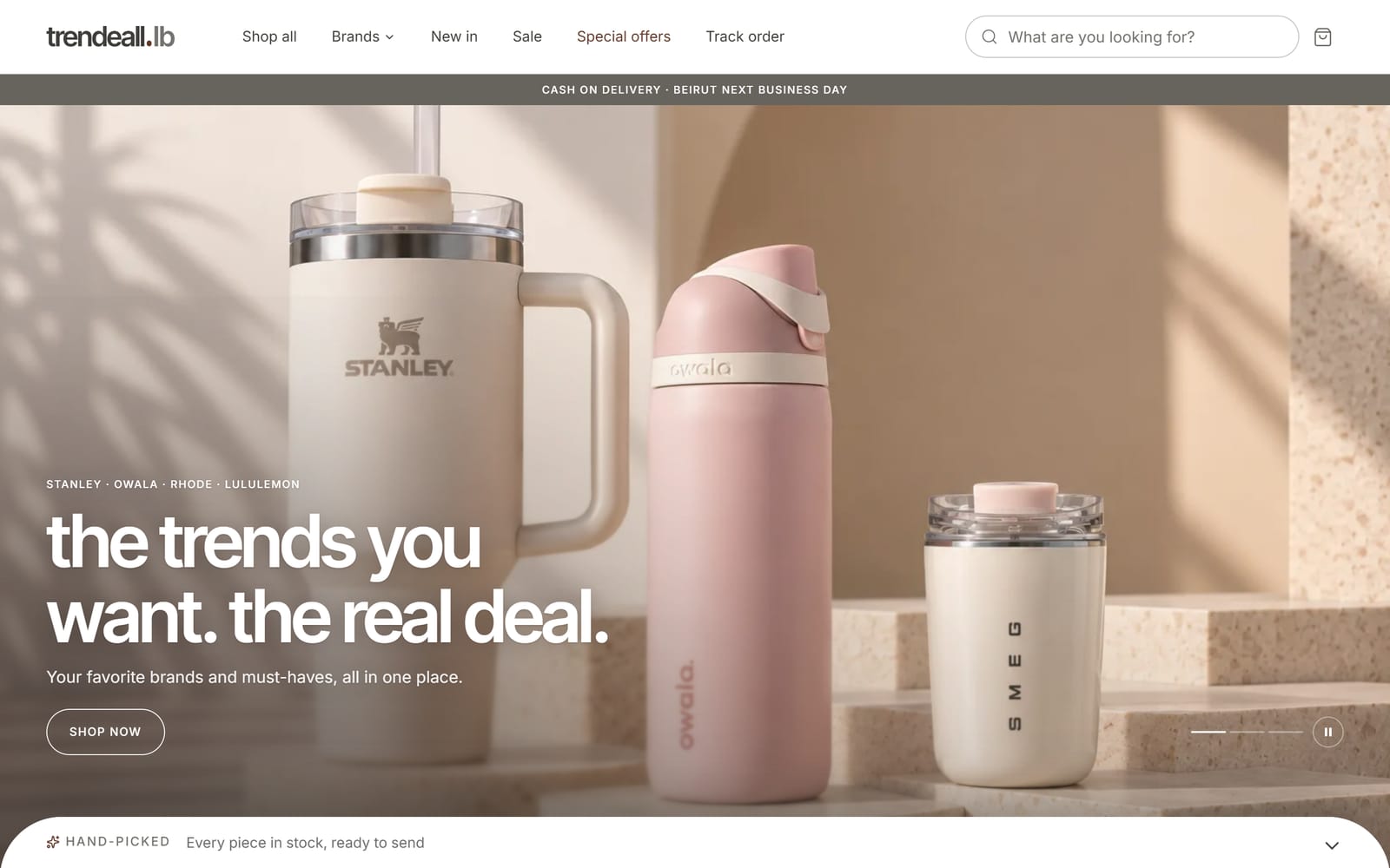 Trendeall online store on a desktop screen